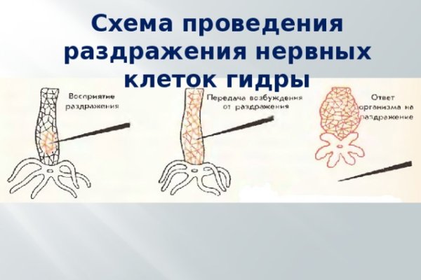 Пользователь не найден кракен даркнет