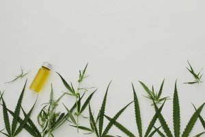 Площадка кракен kraken clear com